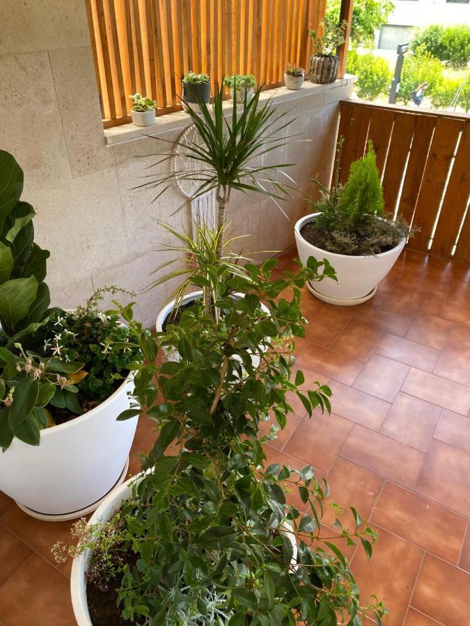 Pombal Suite Extérieur photo